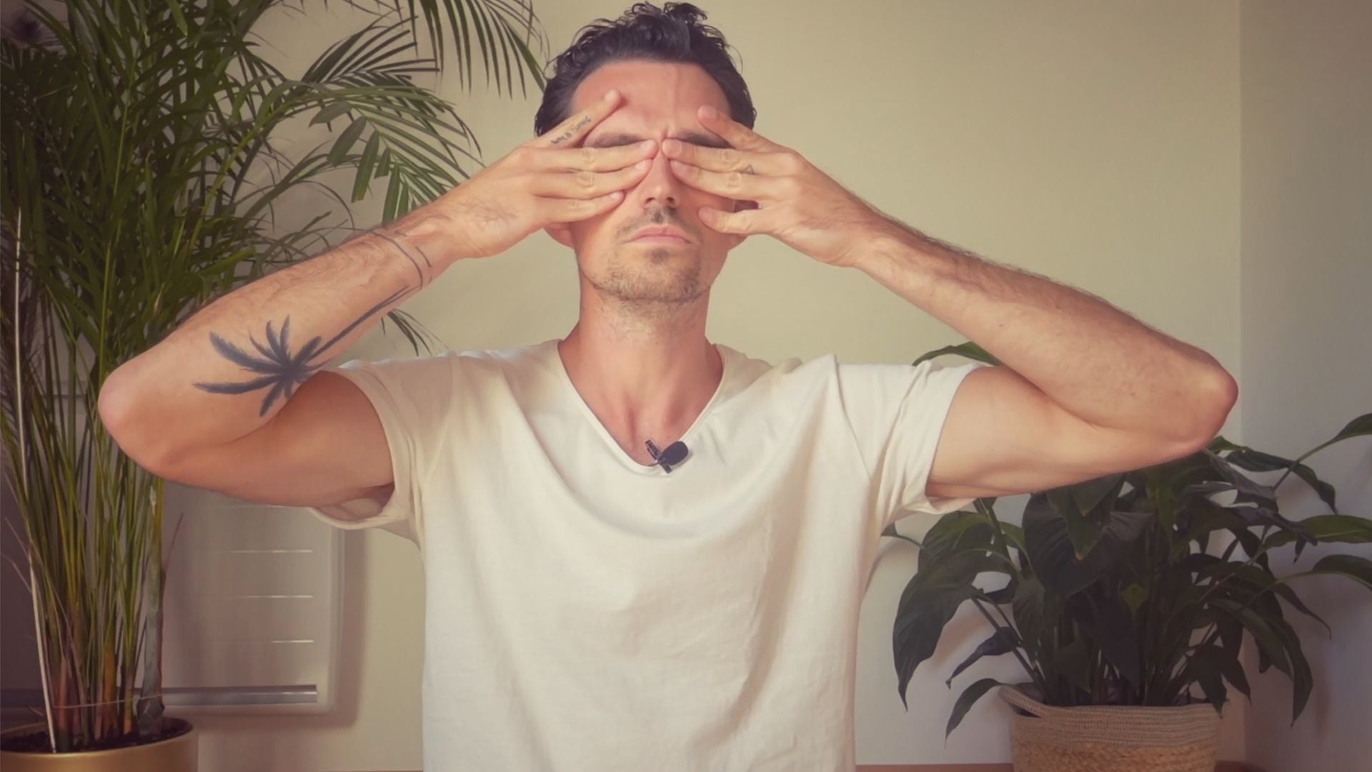 Vignette vidéo Pranayama : Brahmari