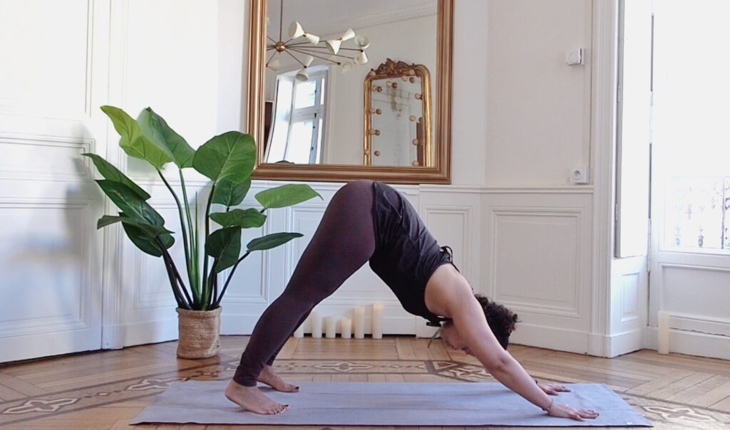 chien tete en bas june chez vous yoga en ligne