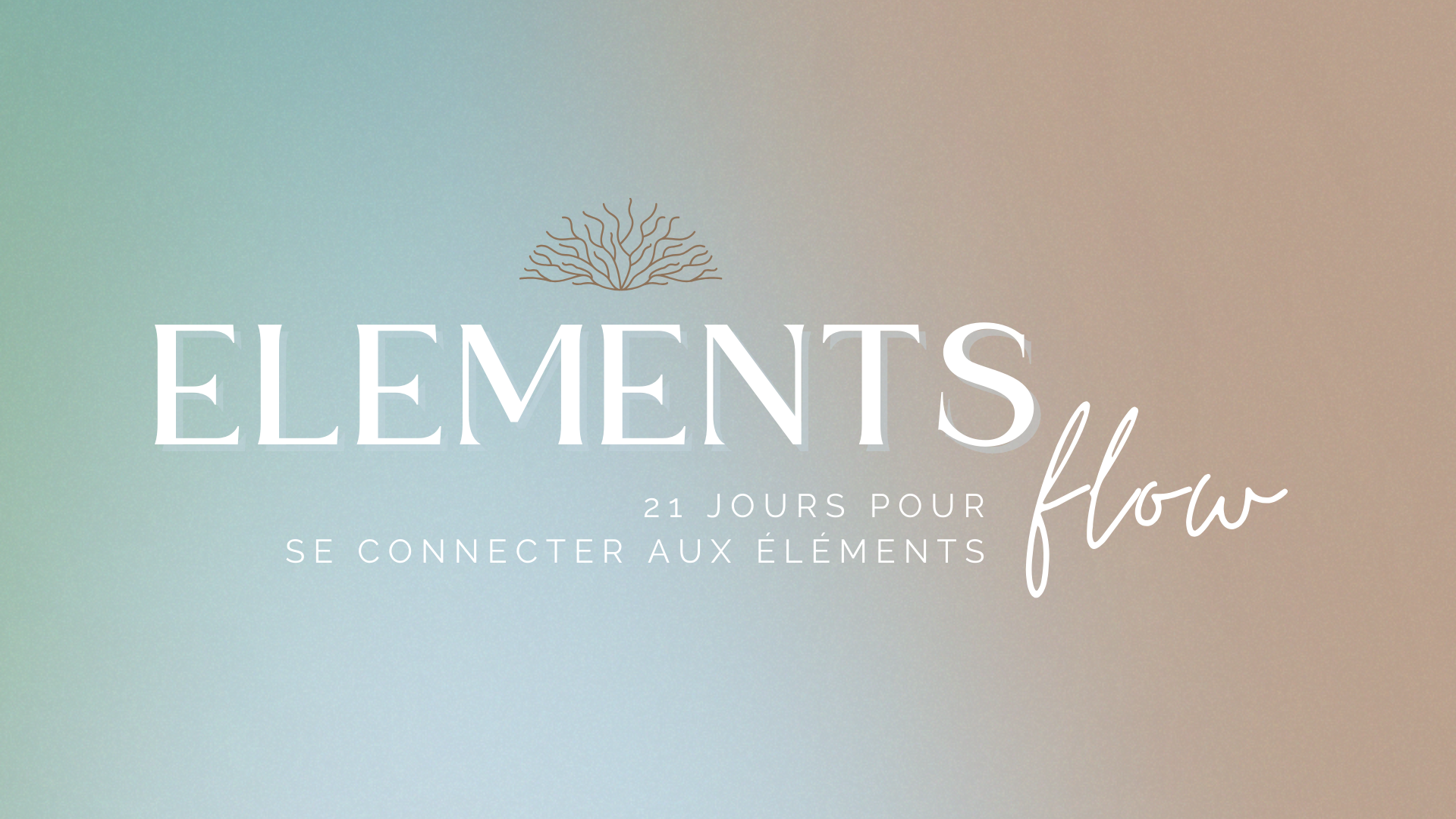 Illustration du programme Elements Flow